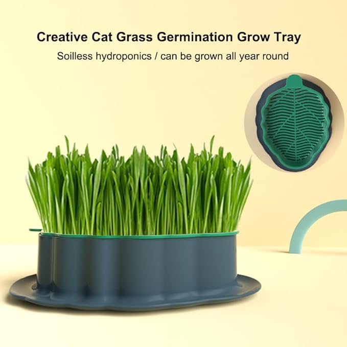 2Pcs Cat Grass Planter (No Seeds Included) Wheatgrass Planting Trays Hydroponic Cat Grass Growing Kits for Indoor Cats Soilless Organic Nursery Box Pet Grass Pot (M)