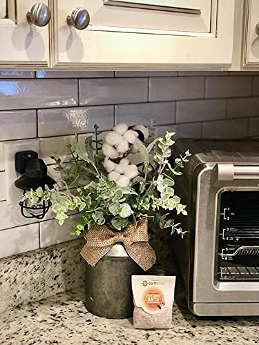 EarthKind Stay Away Ants & Cockroaches Deterrent Pouches - Easy-to-Use, Botanical Pest Control - for Kitchen, Pantry, Countertops & Food Spaces - 6-Pack with Extended Release Pouch Pod