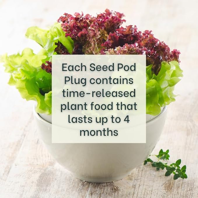 Gourmet Looseleaf Lettuce Blend - Complete Seed Pod Plugs with Plant Food - 10 Pods for Hyrdoponic Gardens, Click and Grow, Lettuce Grow and Outdoor Gardens