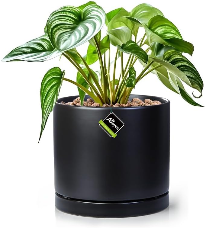 Aveyas 8 inch Ceramic Plant Pot with Drainage Hole and Saucer - Suitable for Indoor and Outdoor Use, Modern Planters for House Garden Flower Tree Snake Monstera Plants (8", Matte Black)