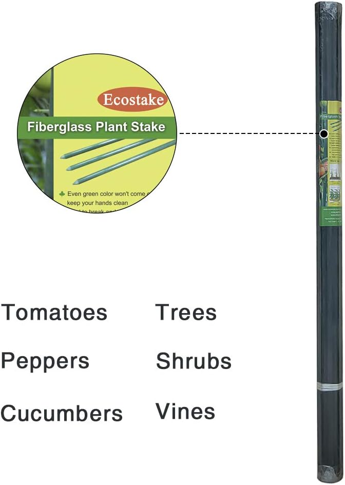 Garden Stakes 5/16" Dia, 5 FT FRP Plant Supporting Stakes for Climbing Tomato Cucumber Strawberry Bean Tree, Pack of 20, Dark Green