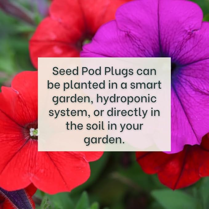 White Petunia - Complete Seed Pod Plugs with Plant Food - 10 Pods for Hydroponic Gardens, Click and Grow, Lettuce Grow and Outdoor Gardens