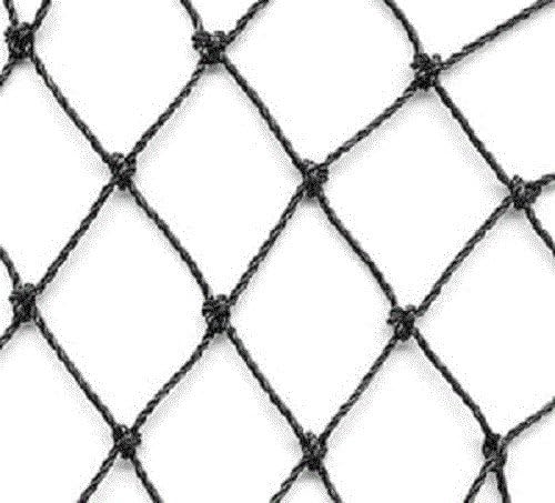 Aviary Netting Heavy Knotted 2 inch Poultry Net (25 ft x 150 ft)