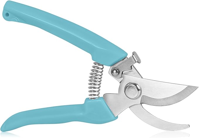 Garden Scissors for Plant, Tip Pruning Shears for Cutting Flowers, Trimming Plants, Bonsai and Fruits Picking (Blue Bypass Blade Pruner)