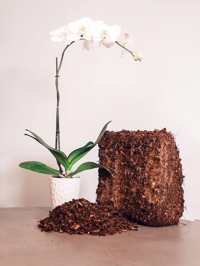 Coco Coir Husk Chips 4-Pack – 2.4 Cu. Ft. Compressed Coconut Coir Bricks, 10 lb. Natural Substrate for Indoor & Outdoor Use, Orchid Bark Alternative, Orchid Potting Mix, Indoor Plant Soil