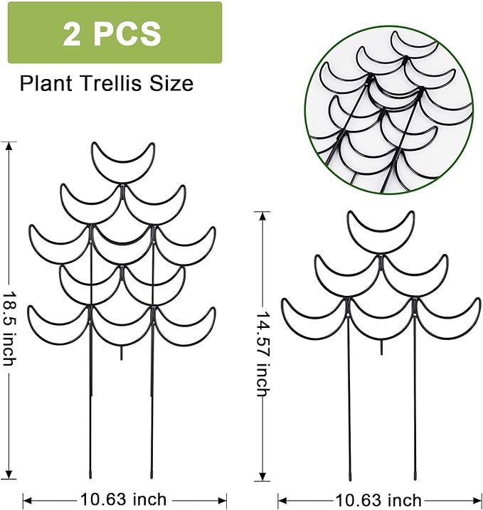 Indoor Plant Trellis 2 Pack Small Metal Climbing Plants Support for Outdoor Garden Potted Flowers Houseplant Ivy Vines Hoya