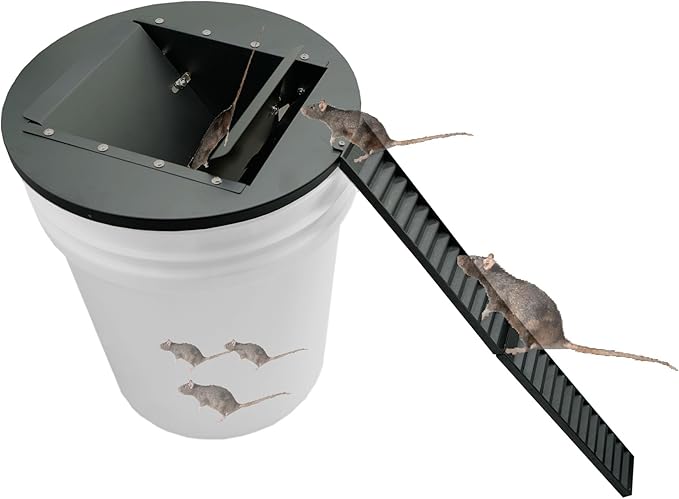 Bucket Lid Mouse Trap Metal 5 Gallon Bucket lid, 45° tilt Design Makes it Easier to Capture Strong Metal Material That, auto Reset, Repeat Catch, Indoor Outdoor, (1pack)