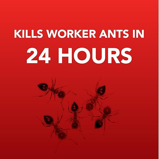 Ortho Home Defense 4PK Metal Outdoor/Indoor Bait Stations