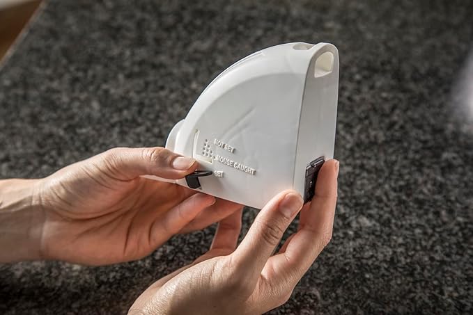 Tomcat Kill & Contain Mouse Trap, 2-Pack (4 Traps)