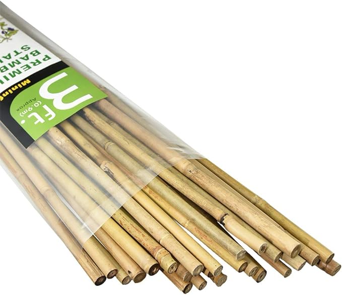Mininfa Natural Bamboo Stakes 3 Feet, Eco-Friendly Garden Stakes, Plant Stakes Supports Climbing for Tomatoes, Trees, Beans, 25 Pack