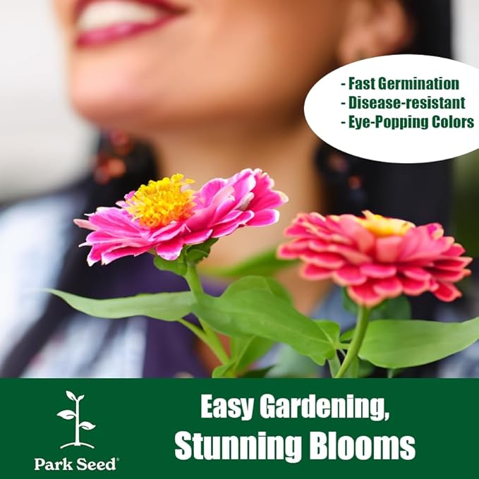 Park Seed Zinnia Flower Planting Seeds, Easy to Grow, Perfect for Spring Garden, Whirligig Hybrid, Pack of 50
