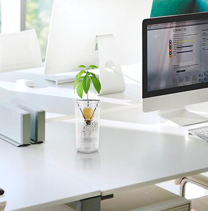 Plus tard 4Pcs Avocado Seed Starter Rack for Mason Jar of Wide-Mouth, Avocado Seed Holder Triangular Metal Bracket for Family Friends and Gardening Enthusiasts