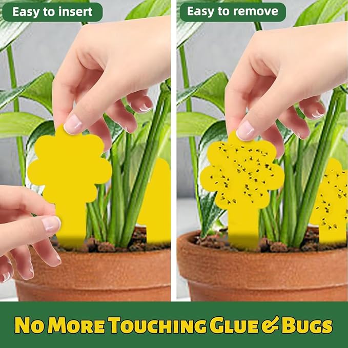 Flower-Shaped Yellow Sticky Traps, 36 Pack, Creative Sturdy Structure, No Touching Glue Or Bugs Design, Very Easy To Use, Gnat, Fruit Fly & Insect Killer, Kid & Pet Safe, For Plants, Gardens, Kitchens