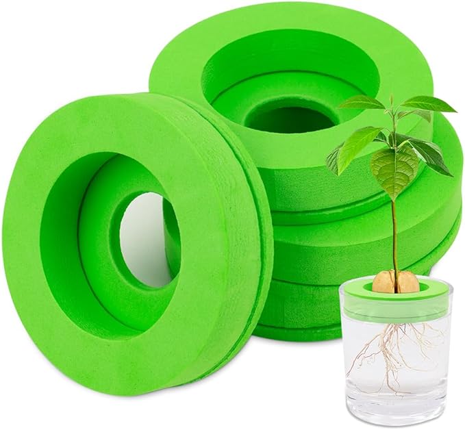 Avocado Tree Growing Kit, 4 Pack Green EVA Foam Avocado Growing O Ring, Plant Pot Plant Easy Seed Sprout Grow, Floating On Water, Seeds Growing Gifts for Family Friends and Gardening Enthusiasts