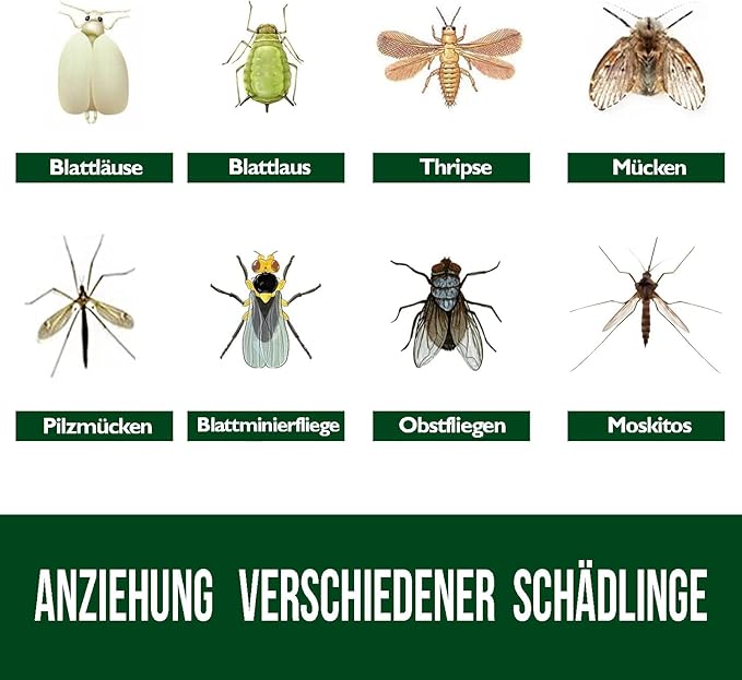 Garsum 20 Pack Gnat Sticky Traps for Indoor and Outdoor, Fruit Fly Paper Sheets Yellow Insect Killer for Flying,Whitefly, Aphids, Leafminers- 6x8 in, Twist Ties Included