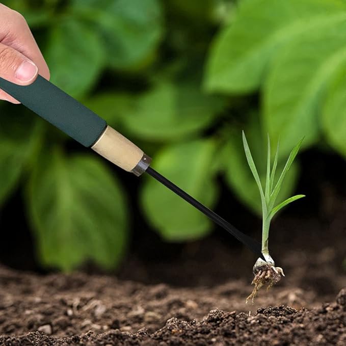 2 Pcs Weeder Tool Weed Picker Hand Weeder Puller Hand Tool Dandelion Fork Weed Remover Tools for Garden