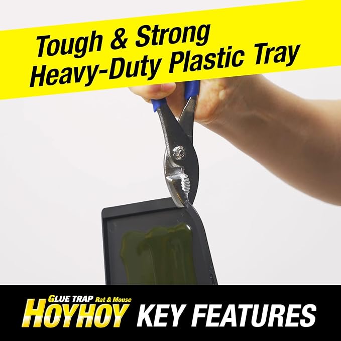 HOY HOY Regular Size Rat & Mouse Indoor/Outdoor Glue Trap (1 Pack)