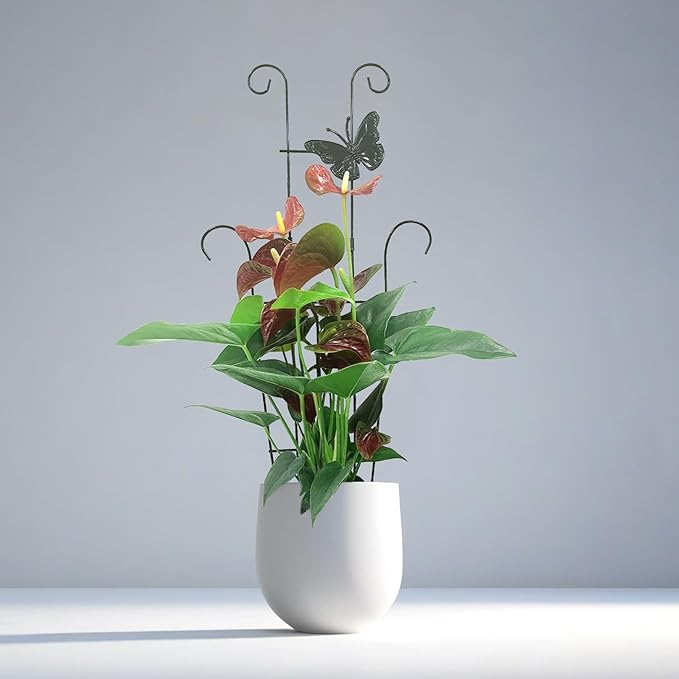 23 Inch Plant Trellis for Potted Plants, Sturdy Metal Houseplant Trellis for Climbing Plants Indoor Outdoor, Rust-Resistant Plant Support for Monstera Pothos Ivy, 2 Pack