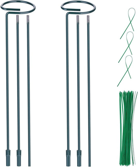 2 Pack (DIY) Plant Support Stakes, Three Sizes (12 or 24 or 36 inch) Plant Support Rings with 20 Pcs Plant Twist Ties, Garden Stake for Indoor Outdoor Plant Flowers, Amaryllis, Tomatoes