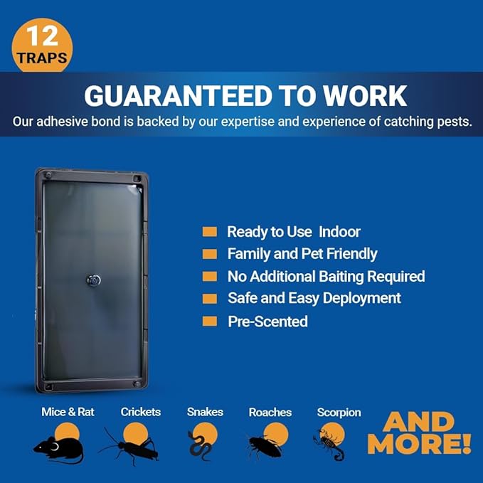 Glue Traps Indoor for Home, 12 Pack, Bulk Glue Traps for Rats, Mice, Snakes and Lizards, Pre-Baited, Non-Toxic, Adhesive Plastic Trays, Insect, & Spider, Pet Safe Pest Control