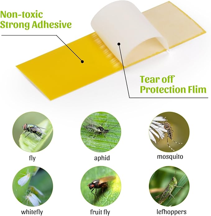 Gnat Sticky Traps for Plants, 100PCS Yellow Sticky Traps for Plant Gnats Indoor and Outdoor White-Flies Mosquitoes Killer, 15PCS Stakes Holder Included