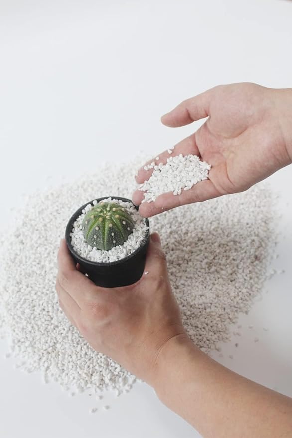 10 Quart Organic Perlite Horticultural Soil Amendment for Plants and Enhanced Drainage Enhanced Growth