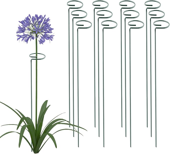 36 Inch 12 Packs Plant Support Stakes,Garden Single stemmed Plant Support Hoops, Plant Prop, for Flowers,Orchid, Tomatoes Peony Lily Rose (36 inch)