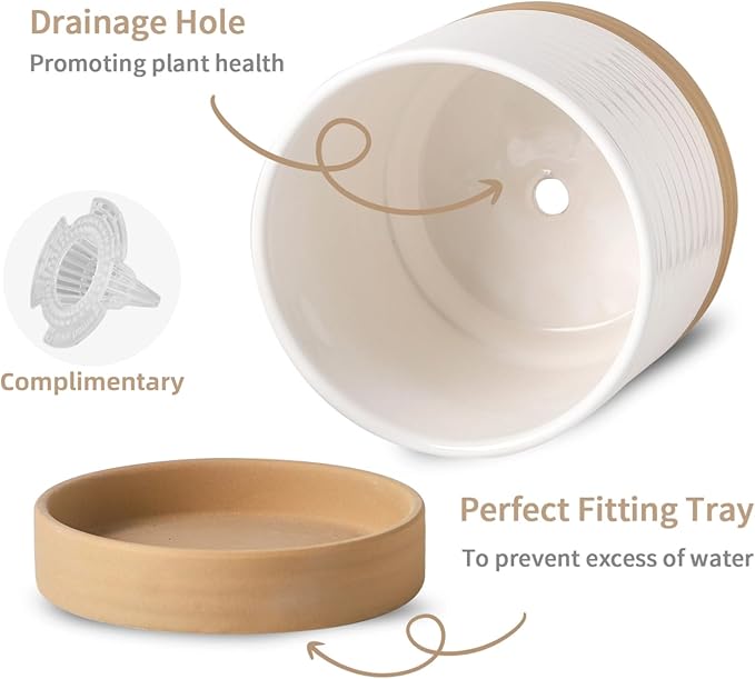 Hasense Ceramic Plant Pots Indoor Outdoor, 6 Inch Pot for Plants with Drainage Hole and Saucer, White Modern Flower Planter for Housewarming Gift