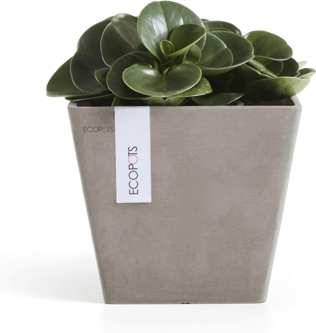 Ecopots Rotterdam Durable Modern Square Indoor/Outdoor Recycled-Based Composite Flower Planter, Taupe, 8"