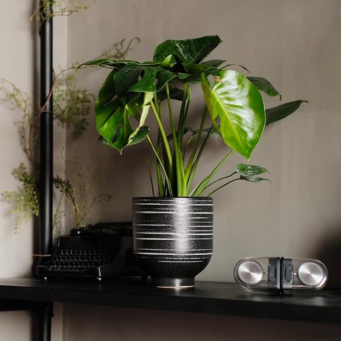 Ceramic Pots for Plants with Drainage Hole, Planters for Indoor Outdoor Plants, 6.7 Inch Flower Pots for Plants Cactus, Aloe Vera, Fern