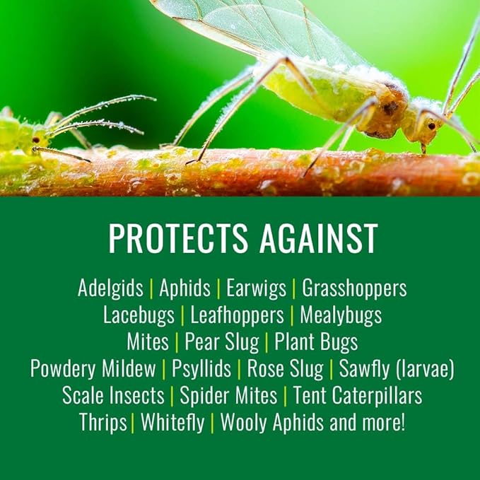 Natria Insecticidal Soap, Ready-to-Use Garden Bug Treatment, Insect Killer for Indoor and Outdoor Plants, 24 Ounce