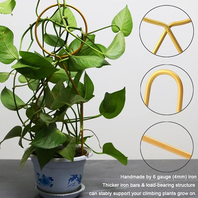Small Metal Trellis for Potted Plants, 3 Pcs Gold Trellis for Climbing Plants Indoor, Plant Support Stake Mini House Plant Trellis for Hoya, Flower, Pothos, Monstera