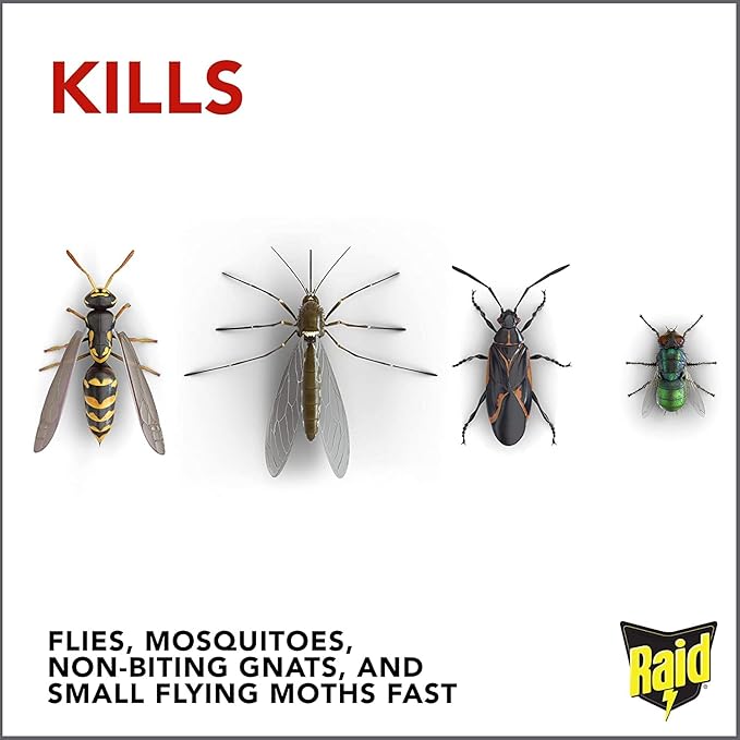 Raid Flying Insect Killer 15 Ounce (Pack of 2)