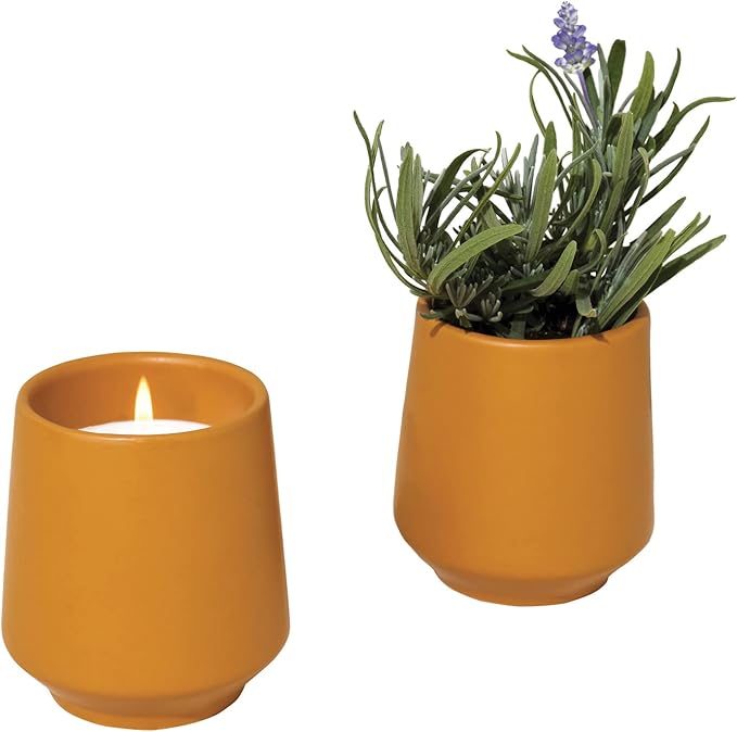 Modern Sprout Rooted Candle - 2 in 1 Cedarwood Scented & Soy Candle with Seeds That Grows into Lavender Plant - 6 oz w/ 42 hr Burn time in Matte Glaze Ceramic Vessel Ideal for Indoor Herb Garden