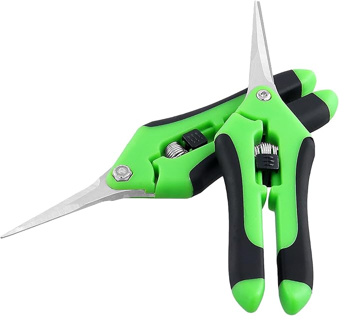 15 PCS 6.5 inch Garden Pruning Shears, Gardening Hand Pruners with Straight Stainless Steel Precision Blades, Pruning Shears Bud Trimming Scissors for Flowers Branches Precise Cuts