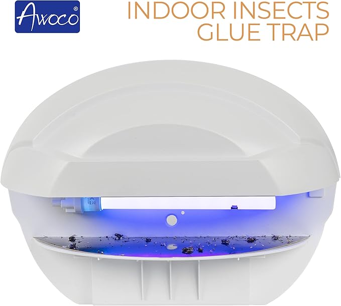 Awoco LED 5W 100V-240V Wall Mount Sconce Sticky Fly Trap Lamp XL 78” Extra Long Power Cord for Capturing Flying Insects, Flies, Mosquitoes, and Moths (Fly Trap XL + 6 Glue Boards)