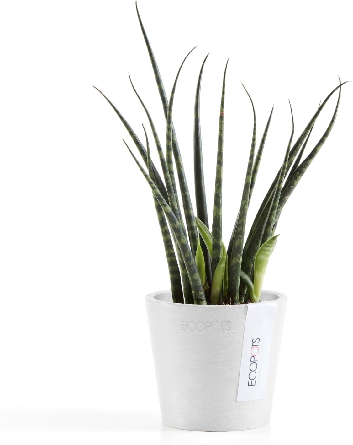 Ecopots Amsterdam Mini Durable Modern Round Recycled-Based Composite Flower Pot Planter, Pure White, 3"