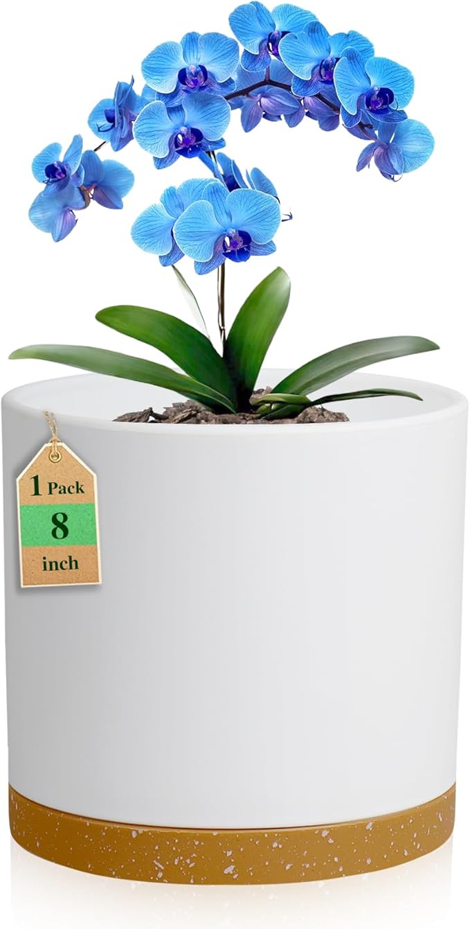 8 Inch Cylinder Flower Pots for Indoor Outdoor Plants, Medium Deep Plant Pots with Drainage Holes & Saucer, Decorative Plastic Planter Pots for Garden House Plants, White with Brown