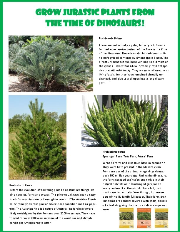 Toys by Nature Biosphere Terrarium Starter Kit, Complete Supplies Included to Grow Your Own Prehistoric Jurassic Park (Dinosaur Domain)