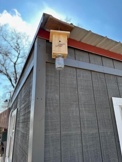 Carpenter Bee Trap