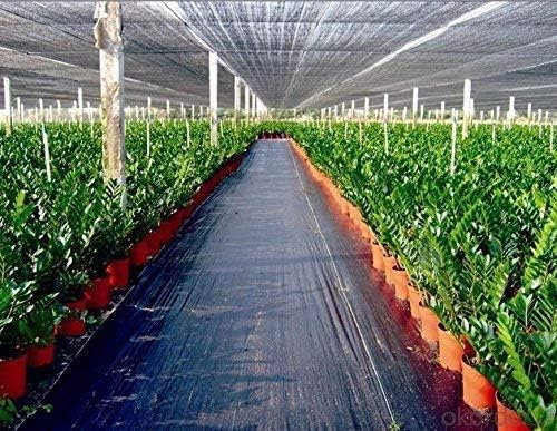 Agfabric Geotextile Landscape,6x200ft Landscape Fabric Weed Barrier Ground Cover Garden Mats for Driveway,Weeds Block,Erosion Control,Raised Garden Bed