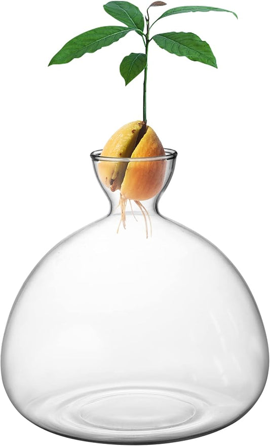 Avocado Tree Growing Kit,Avocado Seed Starter Vase,Glass Plant Pot with Avocado Stickers,Plant Indoor Grow Gardening Gifts