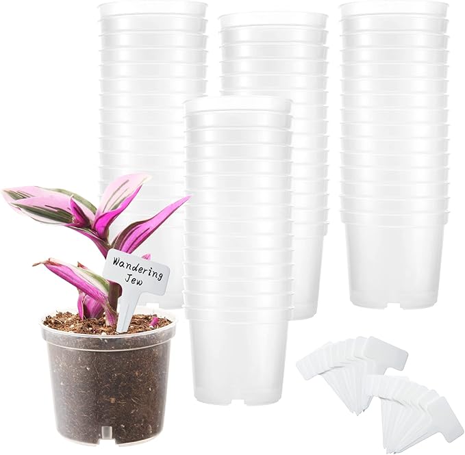 3.5 Inch Clear Nursery Pots, Transparent Plastic Plant Pots with Drain Holes, Seed Germination Starting Planter Container with 20 Plant Labels for Flowers Vegetable Seedlings 60 Pcs
