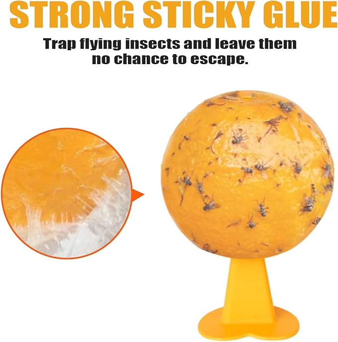 6 PCS Fly Trap Indoor Fly Sticky Ball, Hanging Fly Trap Outdoor Bug Catcher Wasp Gnat Trap, Flying Insects Ball for House Plants Kitchen Drain Yard Garden