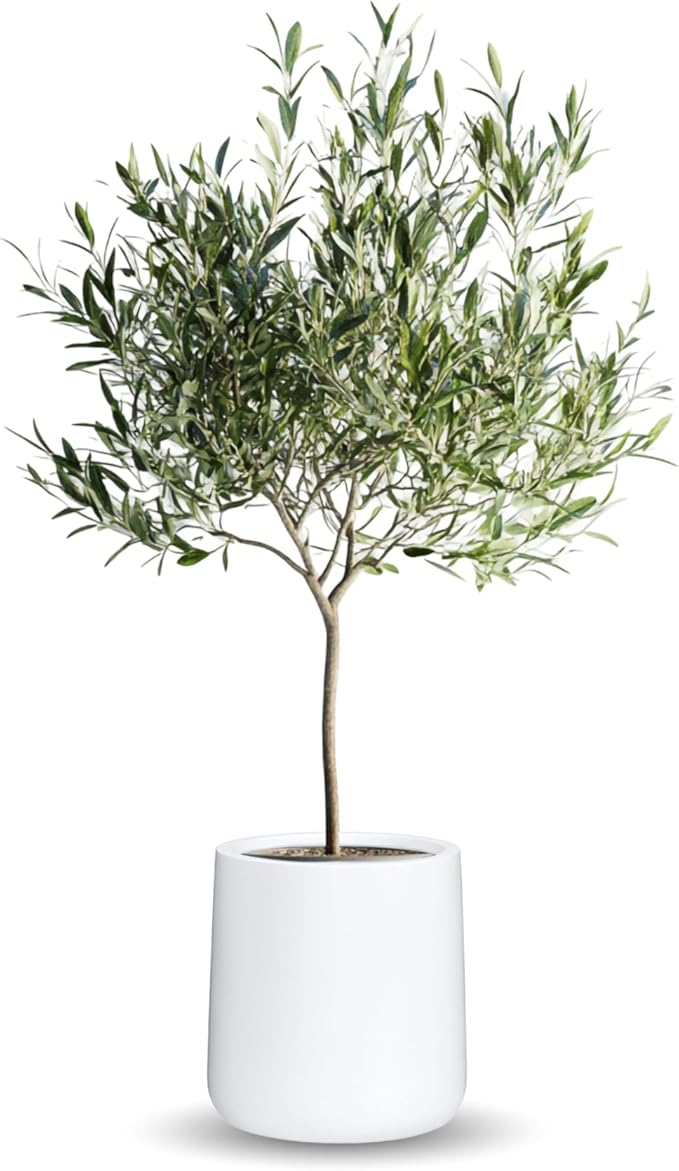 14" H x 13.7" D Conico Fiberstone Round Planter with Drainage Hole, Smooth Finishes, Weather Resistant for Indoor and Outdoor Use, Included 2 Extra Coco Mats (White, 10.6" Pot Opening)