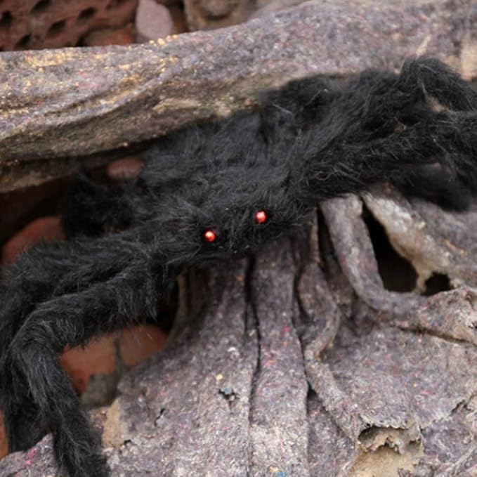 QBSM 2 Pcs Realistic Hairy Giant Spider Real Large Fake Spiders for Halloween Outdoor Decoration House Prank Prop (49.2''+35.4'')