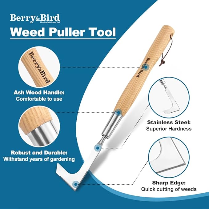 Berry&Bird 15.2'' Crack Weeder Crevice Weeding Tool with Ashwood Handle, Manual Weed Puller for Sidewalk, Driveway Cracks & Garden Edging, Weeding Sickle for Garden Patio Lawn Yard Terrace Paving Moss