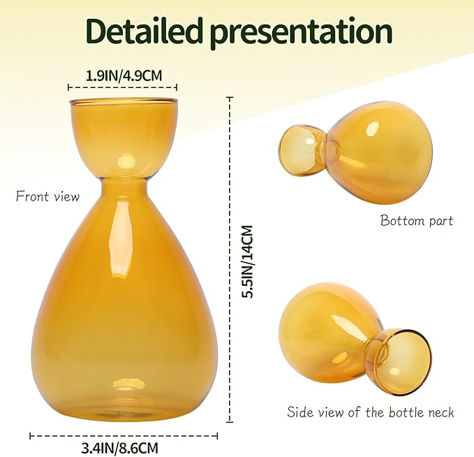 Avocado Vase Avocado Seed Starter Vases Trees Live Plants Growing kit Glass 2pc