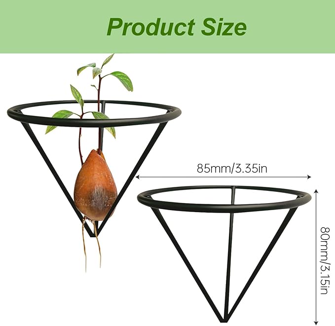 Avocado Seeds - Avocado Seed Starter Vase Rack for Mason Jar of Wide-Mouth 4Pcs, Avocado Seed Holder Triangular Metal Bracket for Family Friends and Gardening Enthusiasts (4 Pcs Vase Rack)