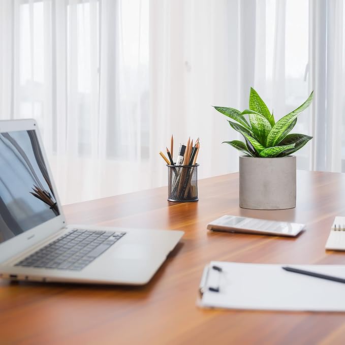 Ekirlin Planters for Indoor Plants, 3.5/4 Inch Plant Pots with Drainage Holes, Removable Rubber Stopper, Non-Slip Soft Pad - Grey Cement Concrete Planter for Most Indoor Outdoor Plants and Flowers